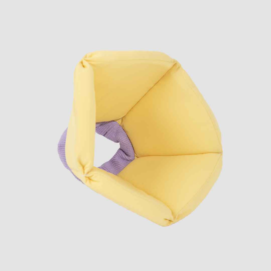 Pet Cone Collar