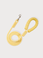 Cloud Touch Leash