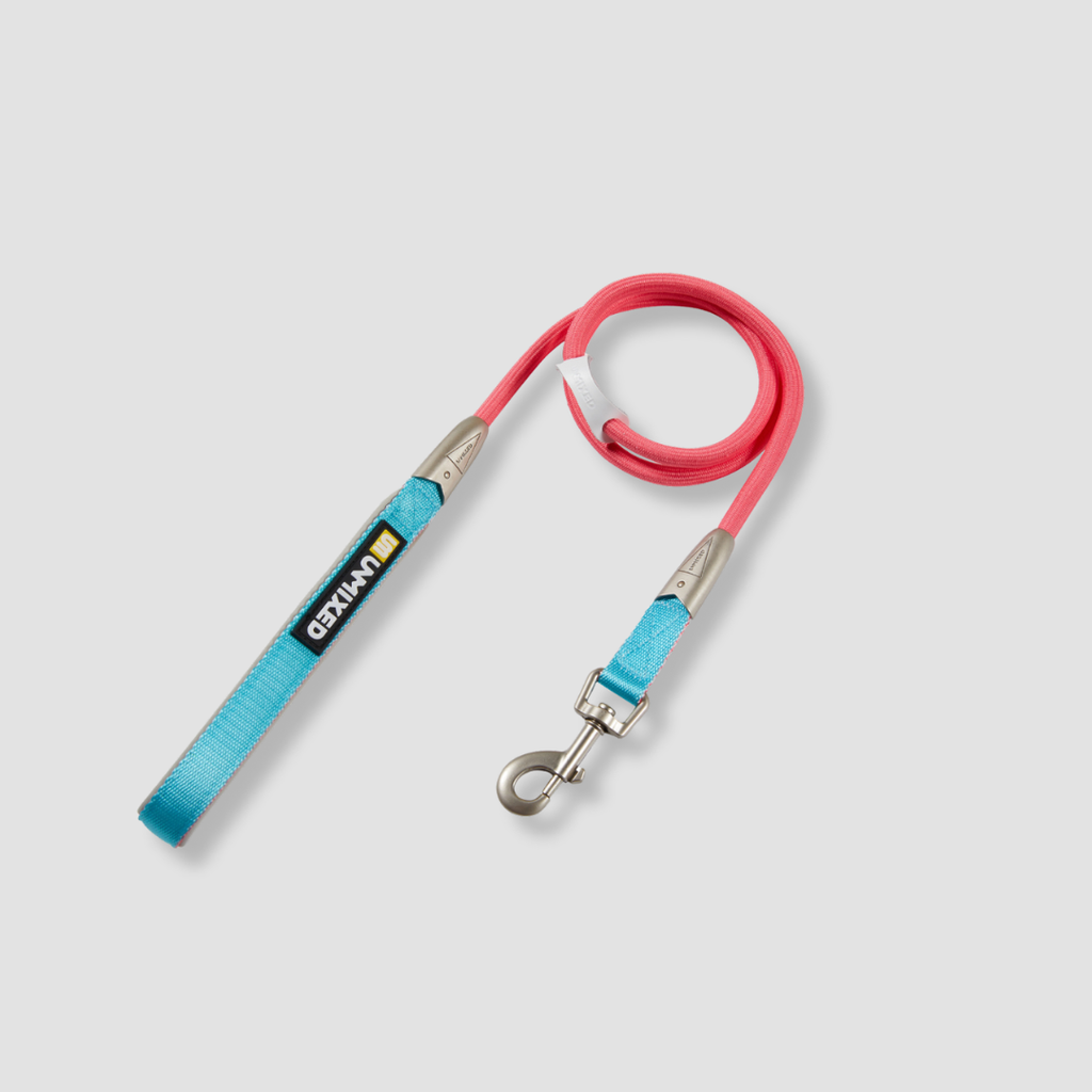 color block dog leash for daily walks