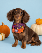 Boo Bow Bandana