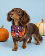 Boo Bow Bandana