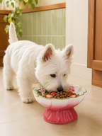wild strawberry tall ceramic pet bowl