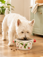 Wild Strawberry Bowl - Short