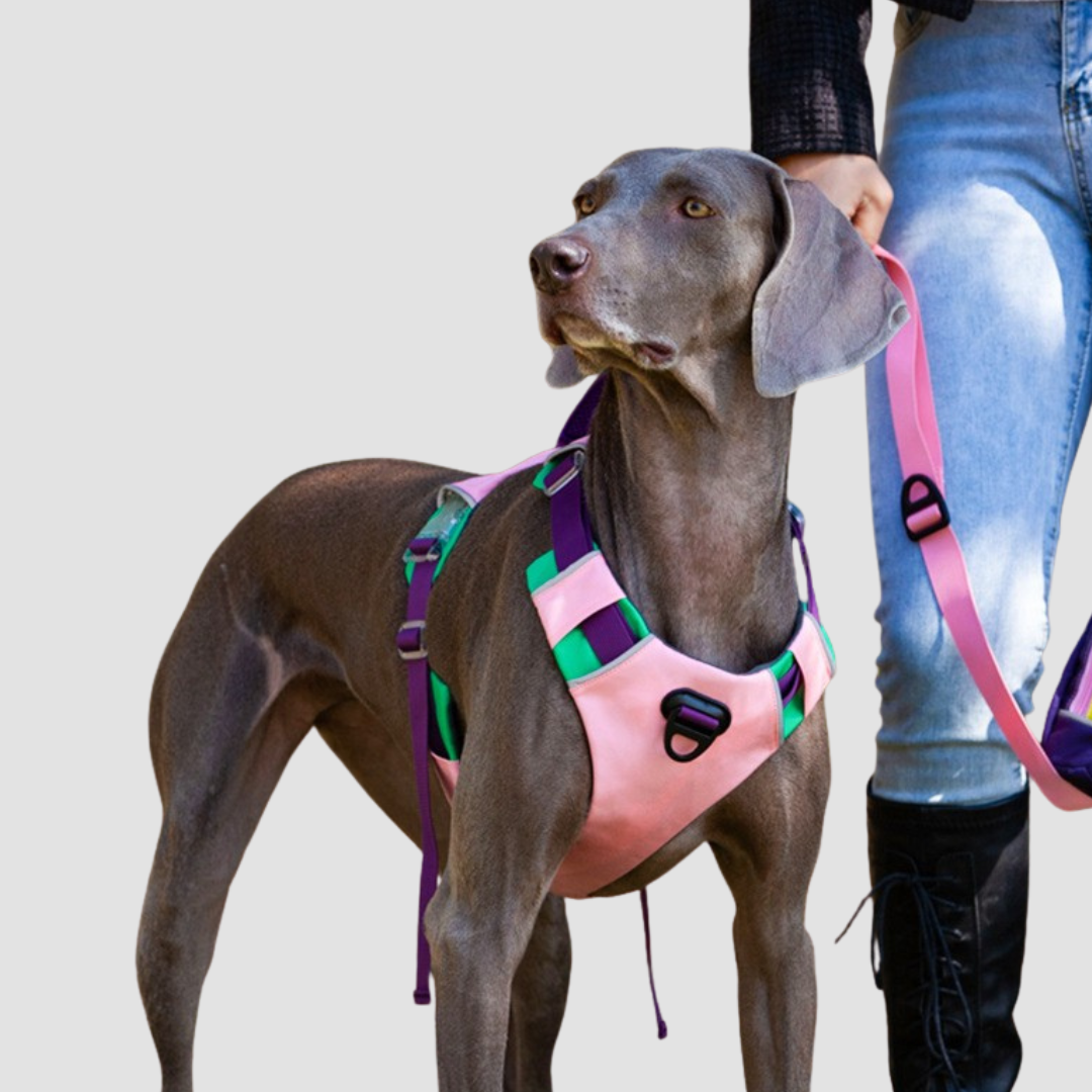 TrailFlex Harness Secondary image
