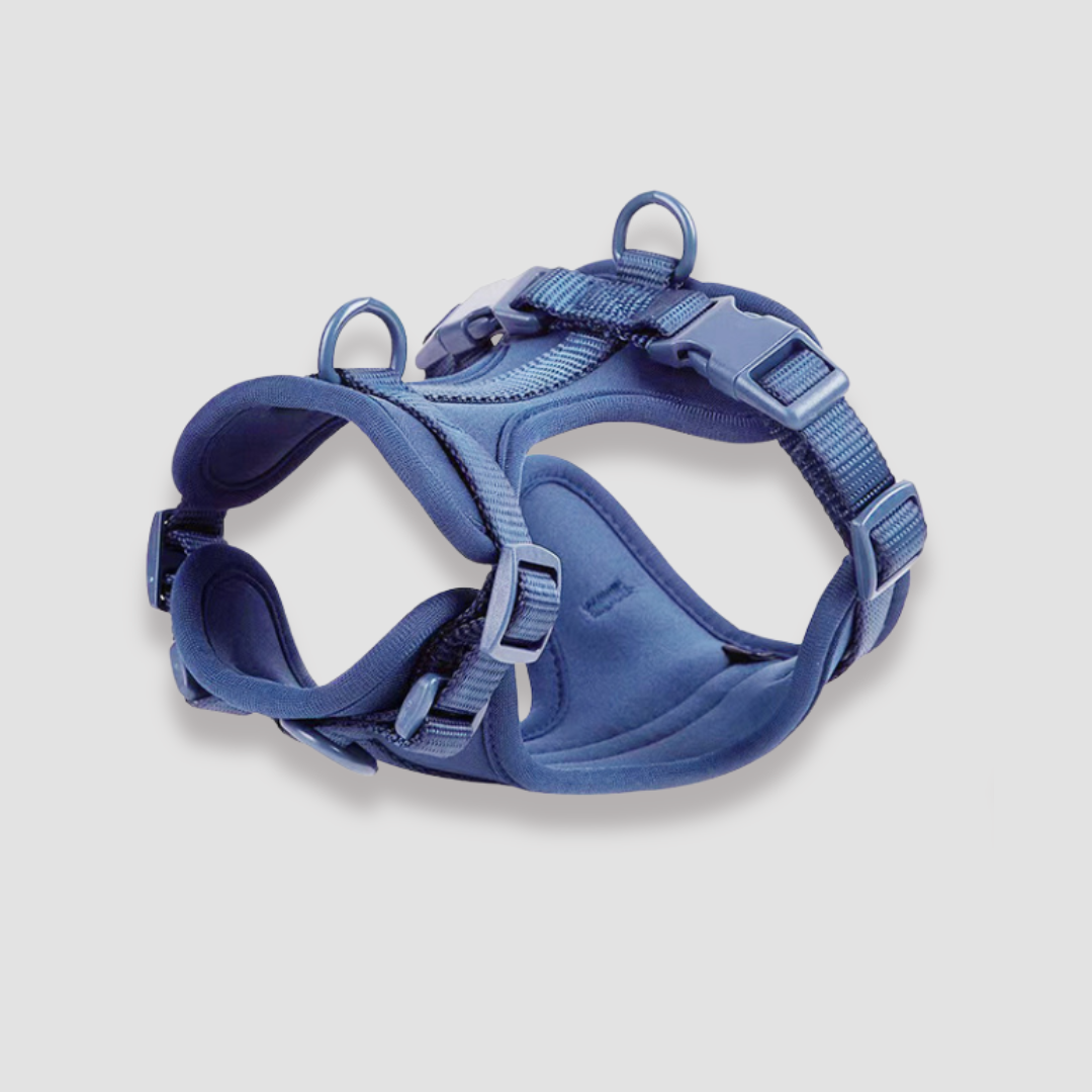 CloudFit Harness