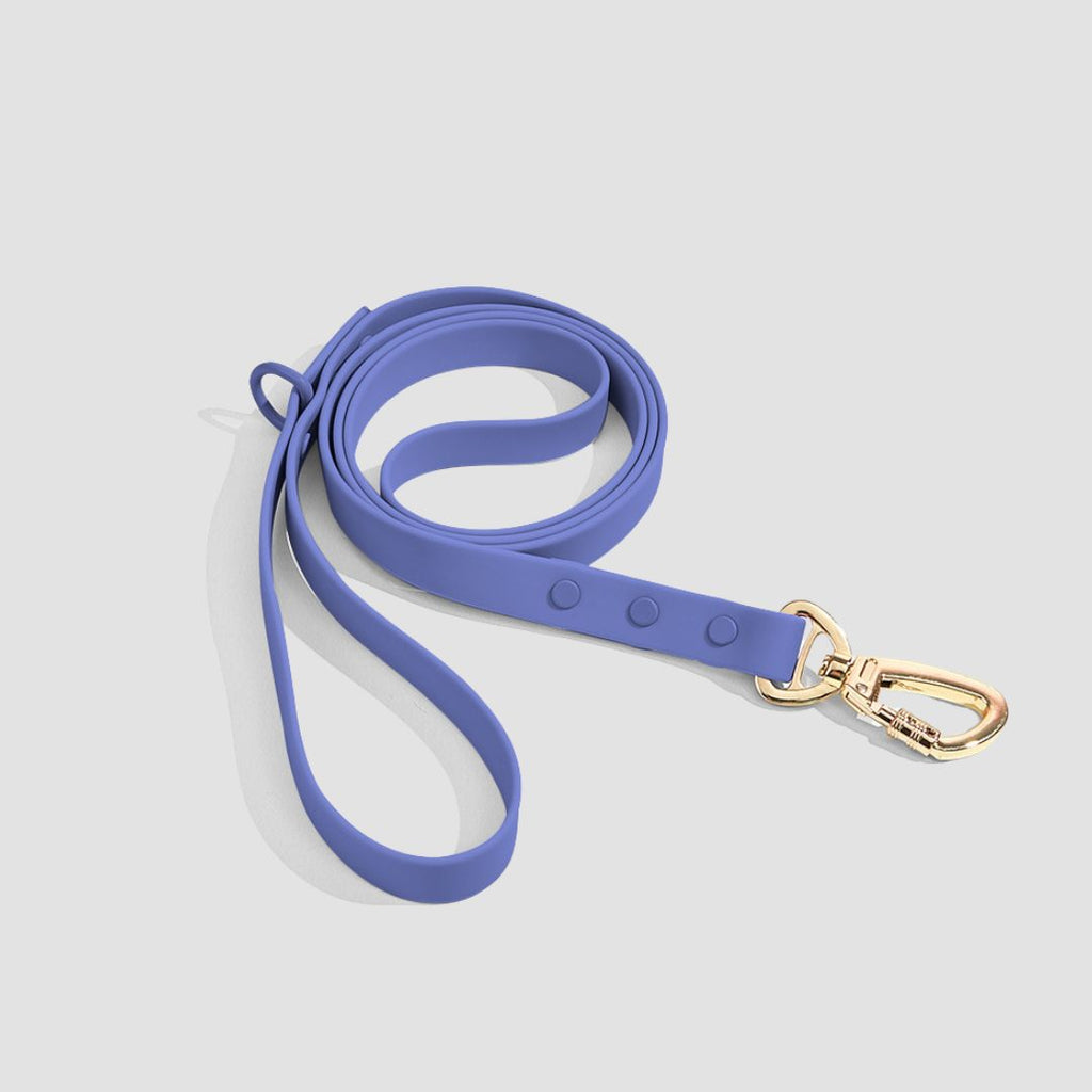 CloudFit Leash