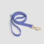 CloudFit Leash