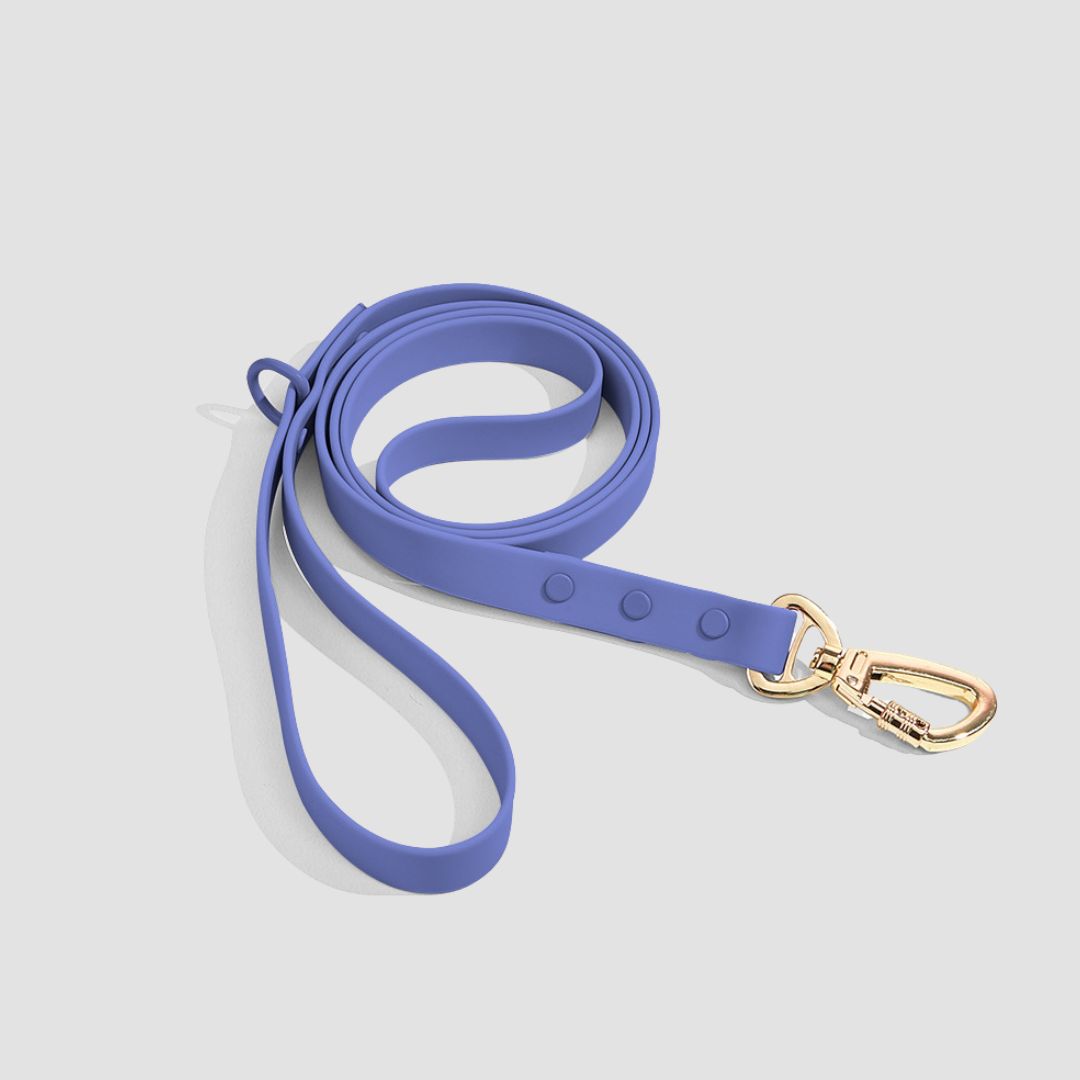 CloudFit Leash