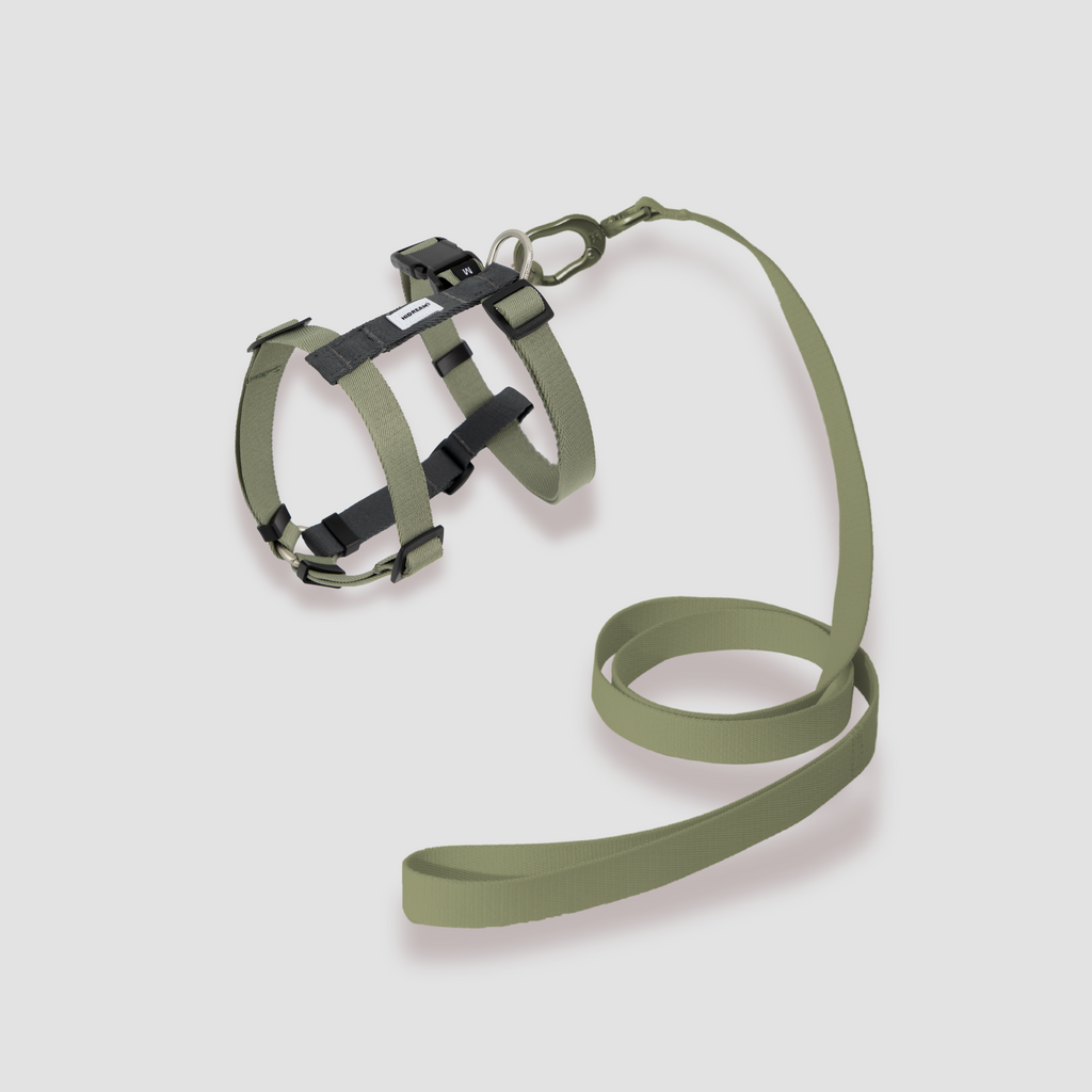 Lightweight H-Style Harness & Leash Set