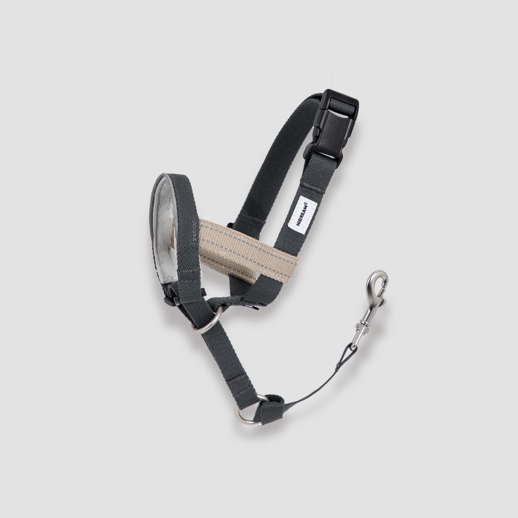 Gentle-Control Dog Harness