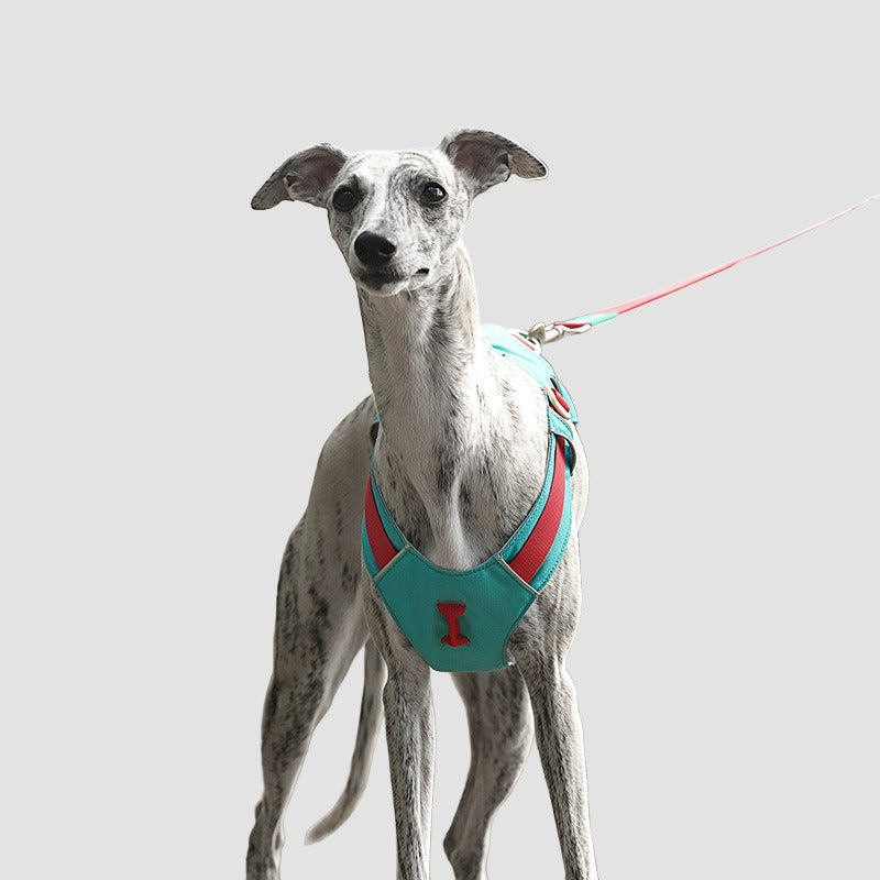 ultra cooling lightweight dog leash for summer walks
