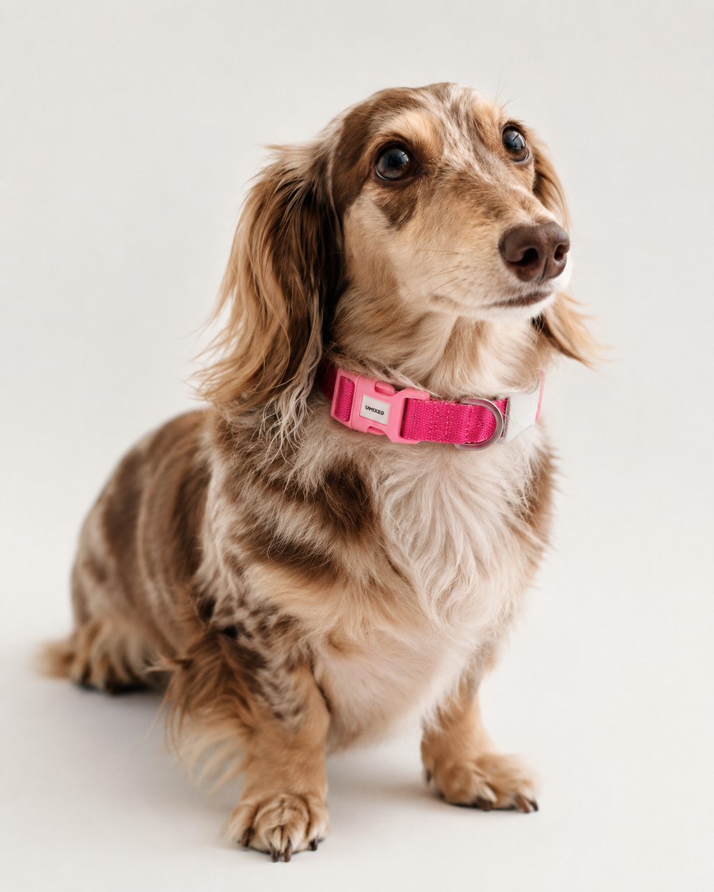 Color-block Collar