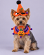 Pumpkin Mischief Crochet Set