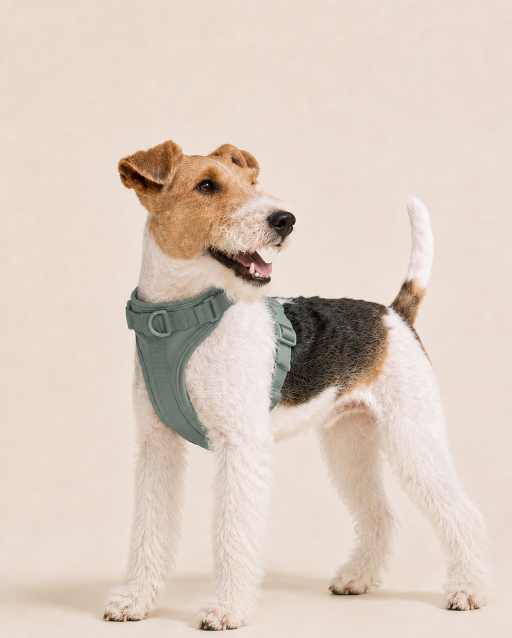 CloudFit Harness