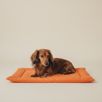 RoverRoll Outdoor Travel Mat