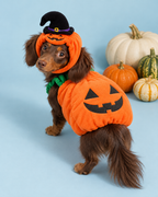 Pumpkin Patch Costume