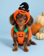 Pumpkin Patch Costume