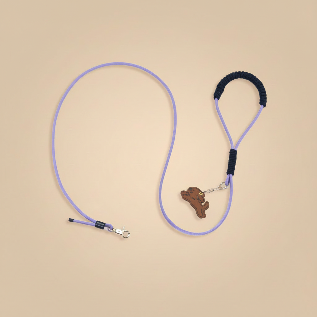 Urban Leash