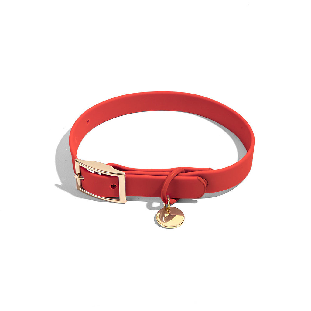 CloudFit Collar