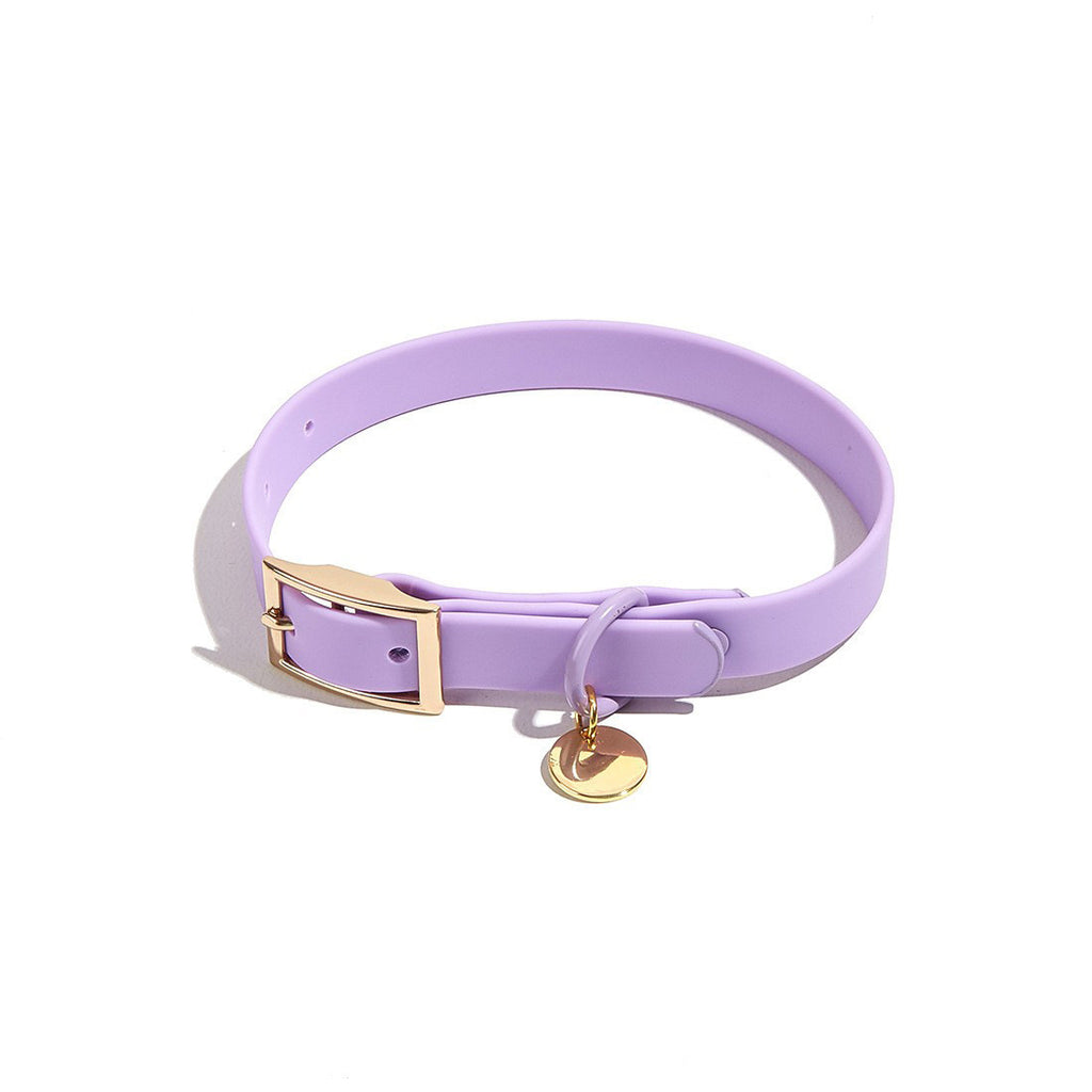 CloudFit Collar