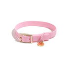 CloudFit Collar