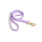 CloudFit Leash