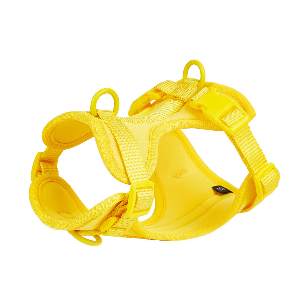 CloudFit Harness