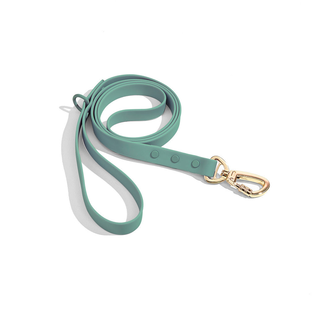 CloudFit Leash