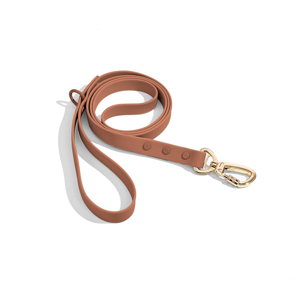 CloudFit Leash