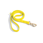 CloudFit Leash