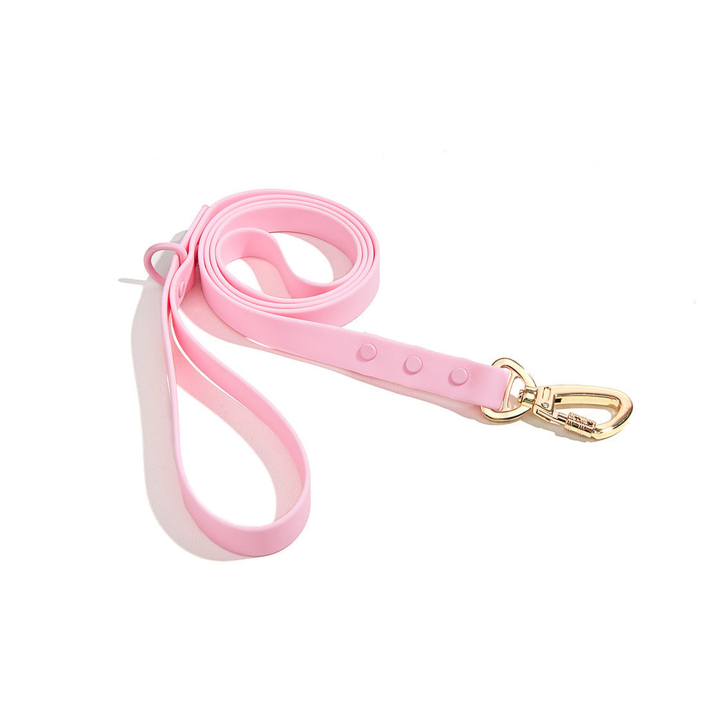 CloudFit Leash