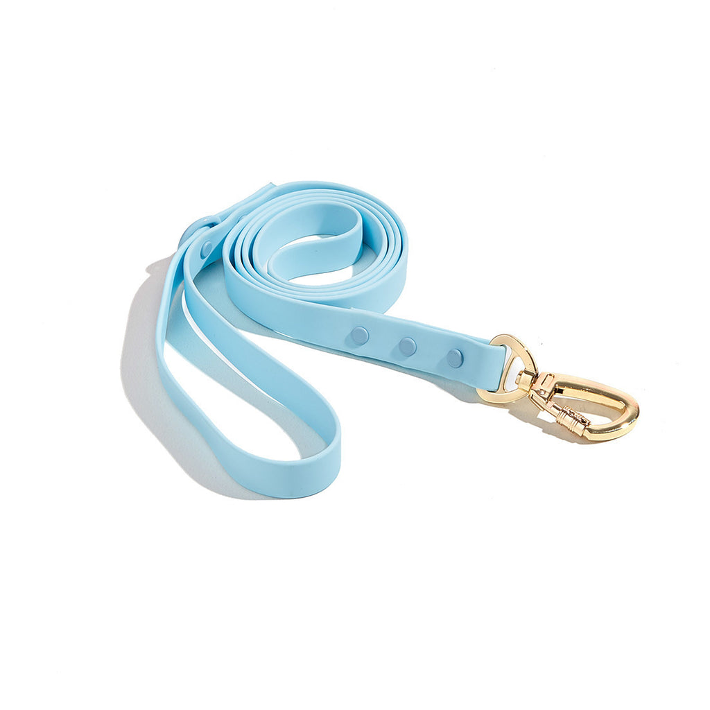 CloudFit Leash