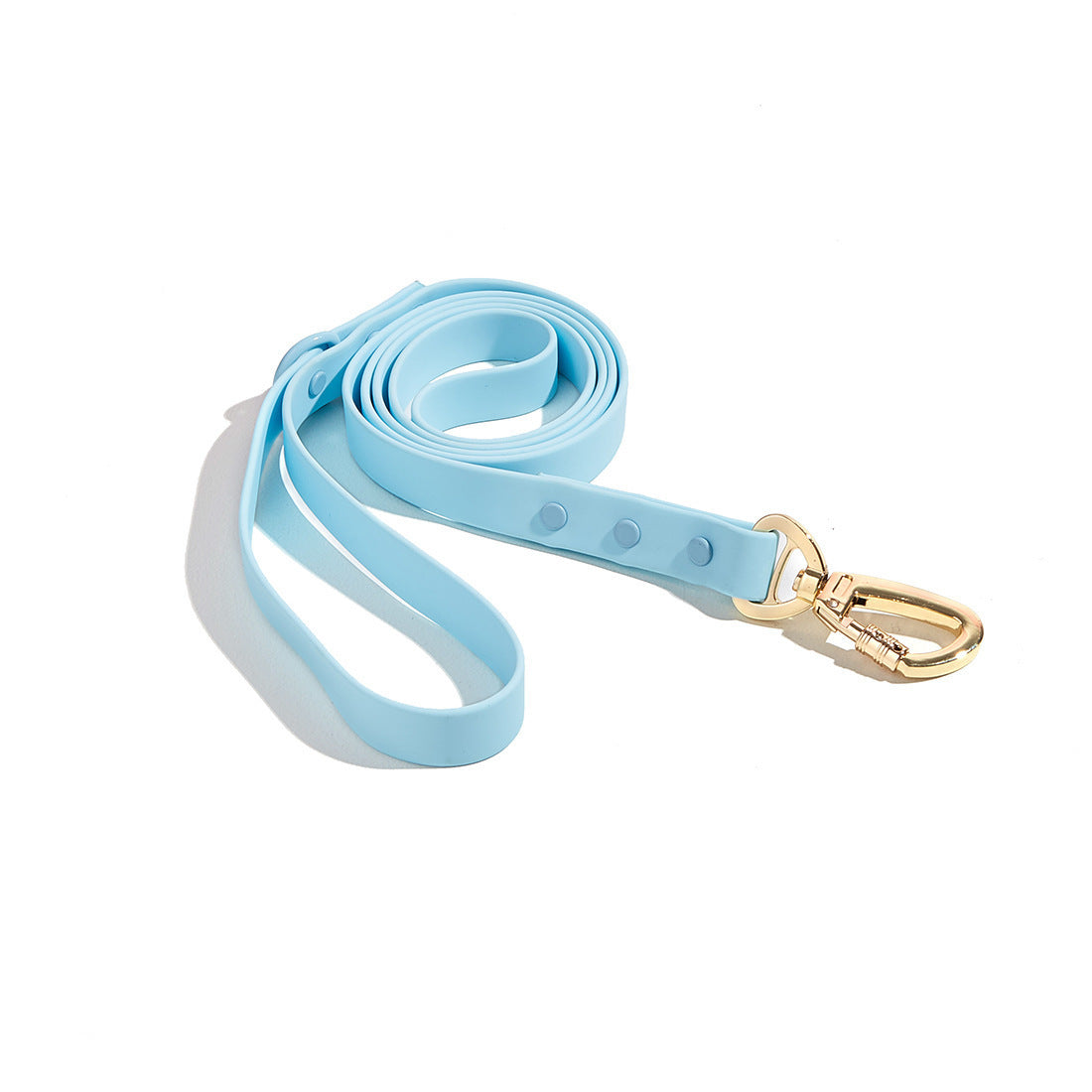 CloudFit Leash